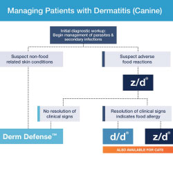 HV_derm_resources_algorithm