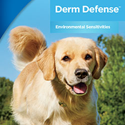 HV_derm_resources_dermpog