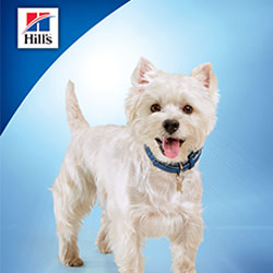 HV_derm_resources_zdtradead