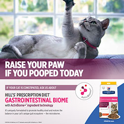 GI 바이옴 반려묘 포스터