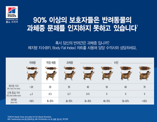 hill의 BFI 차트 썸네일
